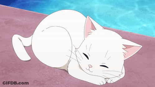 A Person Petting A White Cat With A Blue Background GIF