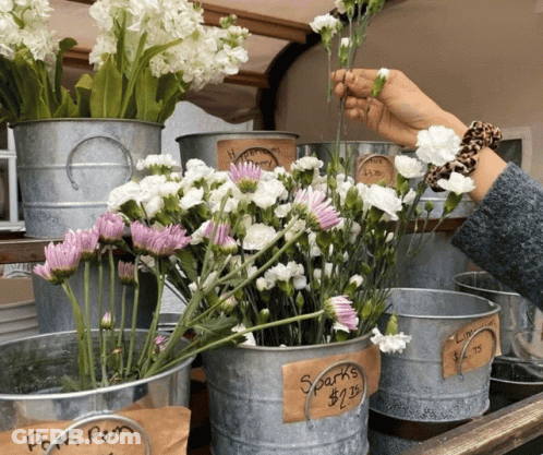 A Person Picking Flowers In A Bucket That Says Sparks GIF