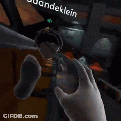 A Person Playing A Video Game With The Word Dandeklein On The Bottom GIF