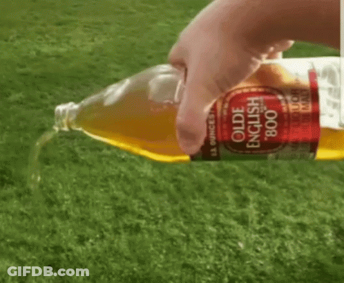 A Person Pouring A Bottle Of Olde English 800 GIF