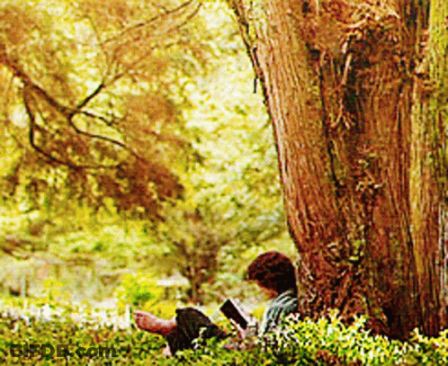A Person Reading A Book Under A Tree In A Park GIF