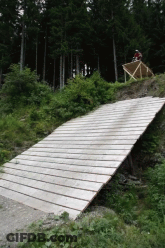 A Person Riding A Bike On A Wooden Ramp In The Woods GIF