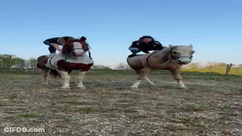 A Person Riding A Brown And White Horse In A Dirt Field GIF