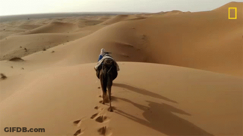 A Person Riding A Camel In The Desert With A National Geographic Logo In The Corner GIF