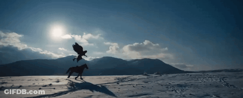 A Person Riding A Horse In A Snowy Field With Birds Flying Overhead GIF