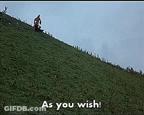 A Person Riding A Sled Down A Grassy Hill With The Words As You Wish Written On The Bottom GIF