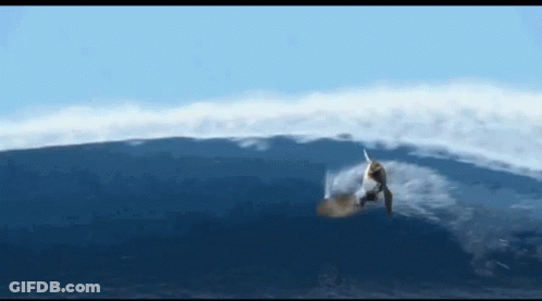 A Person Riding A Wave In The Ocean GIF