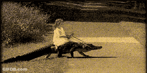A Person Riding On The Back Of A Large Alligator GIF