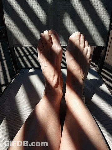 A Person 'S Feet Are Sitting On A Chair With A Shadow Of A Fence Behind Them GIF