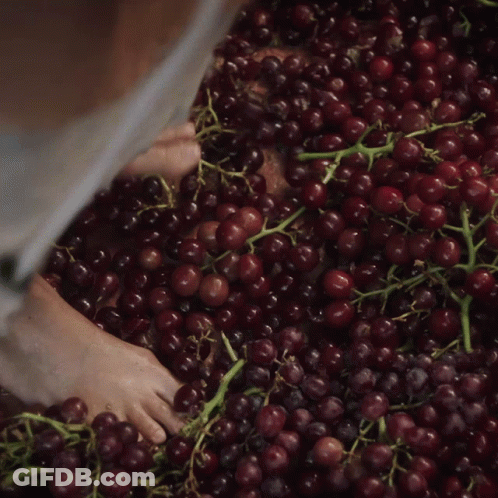 A Person 'S Feet Are Standing On A Pile Of Red Grapes GIF