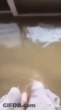A Person 'S Feet Are Sticking Out Of A Flooded Room . GIF