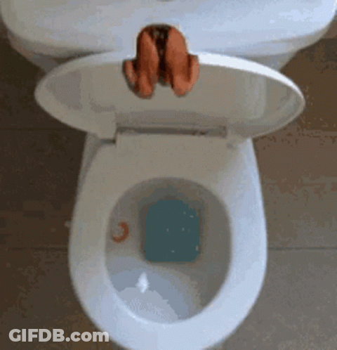 A Person 'S Feet Stick Out Of A Toilet With The Lid Open GIF