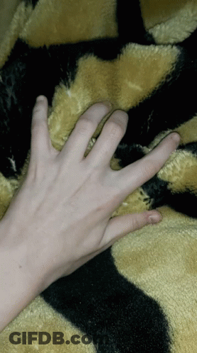 A Person 'S Hand Is Laying On A Black And Yellow Blanket GIF