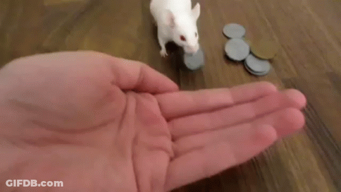 Hand Reaching For Coins On Floor GIF