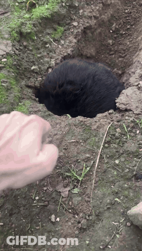 A Person 'S Hand Is Reaching Out Towards A Hole In The Ground GIF