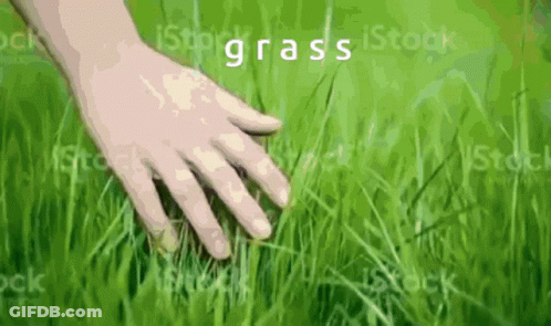 A Person 'S Hand Is Touching The Grass With The Word Grass In The Background GIF