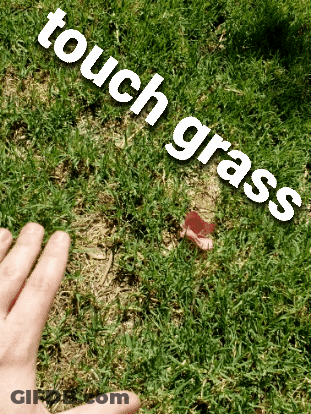 A Person 'S Hand Reaches Out To Touch Grass GIF