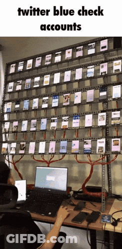 A Person Sitting At A Desk With A Laptop In Front Of A Wall Of Phones With The Words Twitter Blue Check Accounts GIF