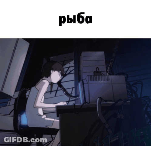 A Person Sitting In Front Of A Computer With The Word Ryba On The Top GIF