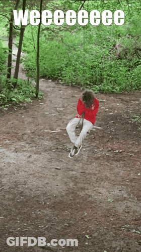 A Person Sitting On A Swing In The Woods With The Words Weeeeeeee Written Above Them GIF