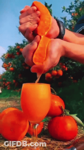 A Person Squeezes An Orange Into A Wine Glass GIF