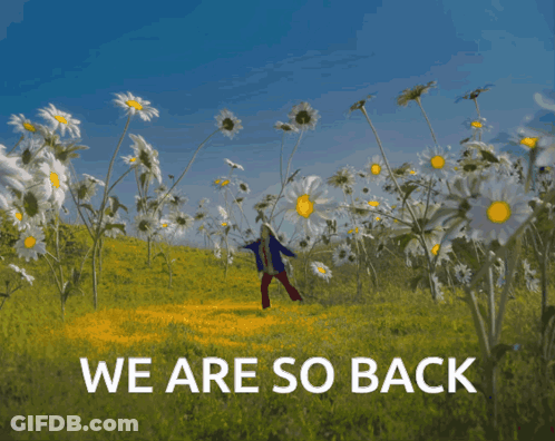 A Person Standing In A Field Of Daisies With The Words " We Are So Back " Below Them GIF