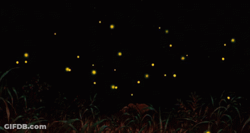 A Person Standing In A Field With Fireflies Flying Around Them GIF