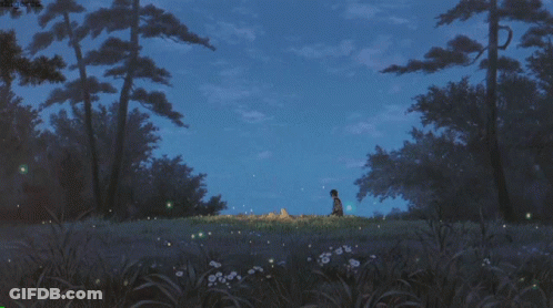 A Person Standing In A Field With Fireflies In The Sky GIF