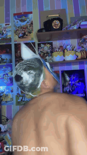 A Person Standing In Front Of A Shelf With A Poster On It That Says ' Clash Of Clans ' GIF