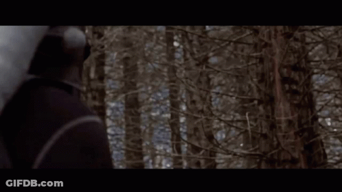 A Person Standing In The Middle Of A Forest GIF