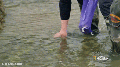A Person Standing In The Water With A National Geographic Logo GIF