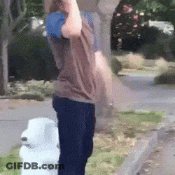 A Person Standing Next To A Fire Hydrant With A Blue Ball On Their Head GIF