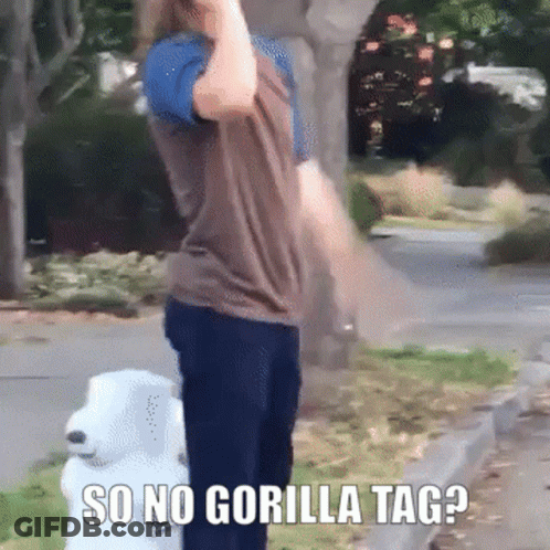 A Person Standing Next To A Stuffed Animal With The Words So No Gorilla Tag On It GIF