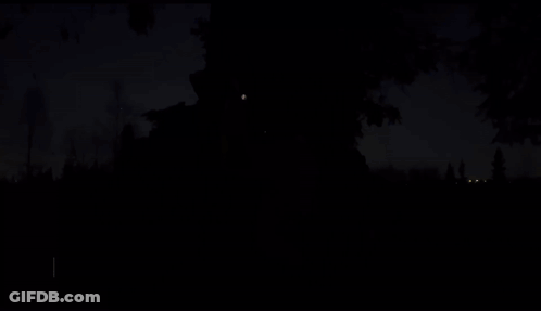 A Person Standing Next To A Tree With The Words We Are So Back GIF