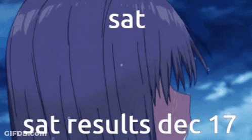 A Person Standing On A Railing With The Words Sat Sat Results Dec 17 On The Bottom GIF