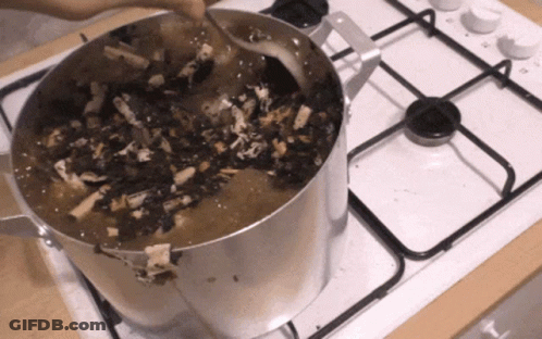 A Person Stirs A Pot Of Food On A Stove GIF