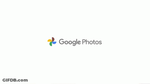 A Person Taking A Picture With A Google Photos App On Their Phone GIF
