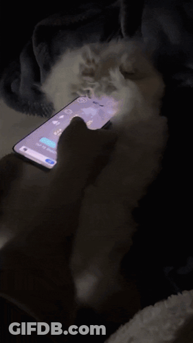 A Person Using A Cell Phone In The Dark With A Light Shining On It GIF