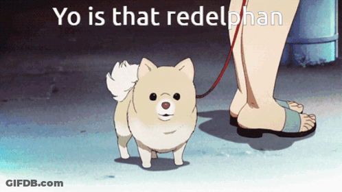 A Person Walking A Small Dog On A Leash With The Words Yo Is That Redelphan Above It GIF