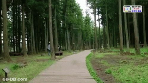 A Person Walking Down A Path In The Woods With A Sign That Says ' On ' On It GIF