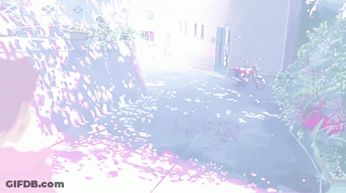 A Person Walking Down A Street With Flowers On The Ground GIF