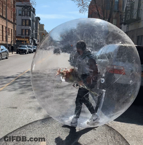 A Person Walking In A Clear Bubble With A Bouquet Of Flowers In Their Hand GIF