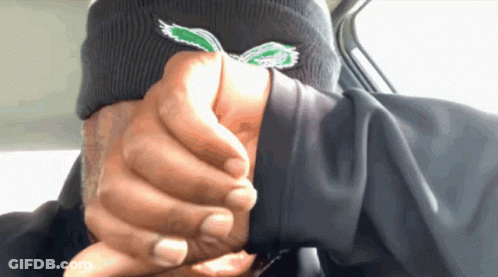 A Person Wearing A Black Beanie With A Green Eagle Embroidered On It GIF