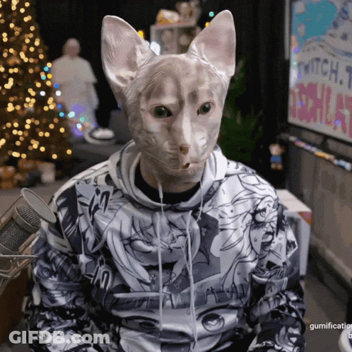 A Person Wearing A Cat Mask And A Hoodie That Says Gumification On The Bottom GIF