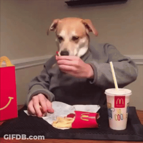 A Person Wearing A Dog Mask Is Eating French Fries From A Mcdonald 'S Cup GIF