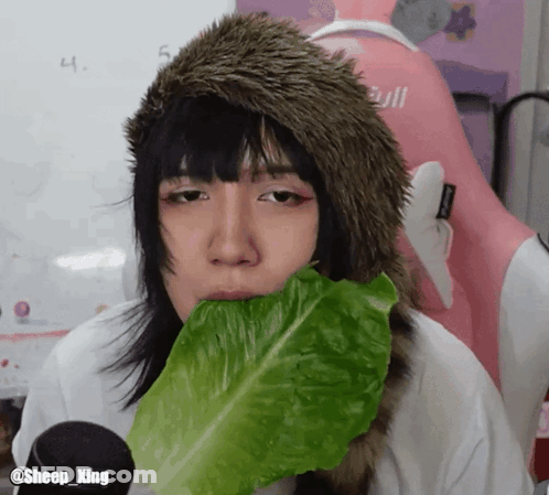 A Person Wearing A Fur Hat Is Eating Lettuce GIF