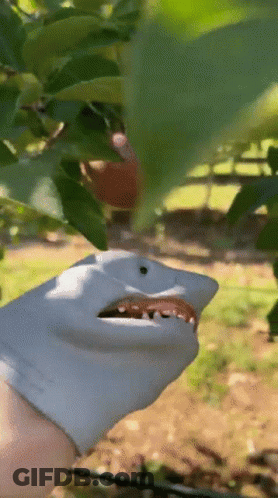 A Person Wearing A Glove That Looks Like A Shark Is Picking Apples From A Tree GIF
