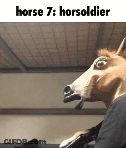 A Person Wearing A Horse Mask With The Words Horse 7 : Horsoldier Above It GIF