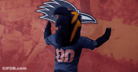 A Person Wearing A Mascot Costume With The Number 316 On The Back Of Their Shirt GIF