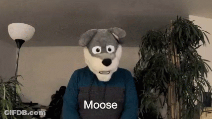 A Person Wearing A Moose Costume Is Standing In Front Of A Plant GIF